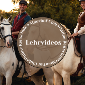 Lehrvideos